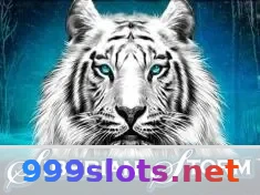 ⭐ Login 999slots: Acesso Seguro e Rápido 7 Imagem ilustrativa